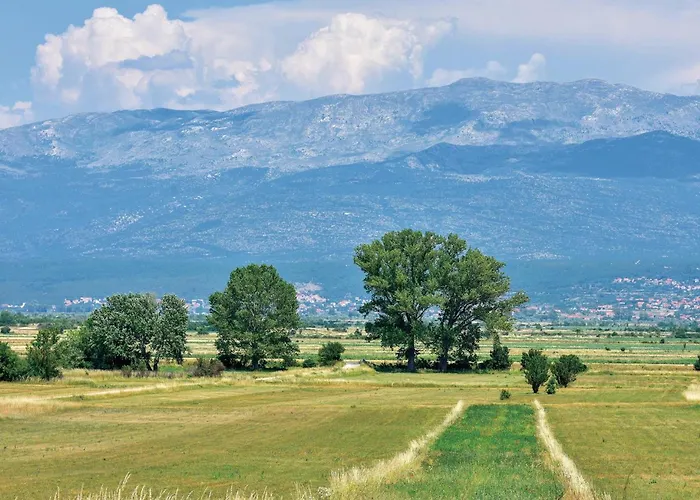 Tatil Evi 15 Trilj